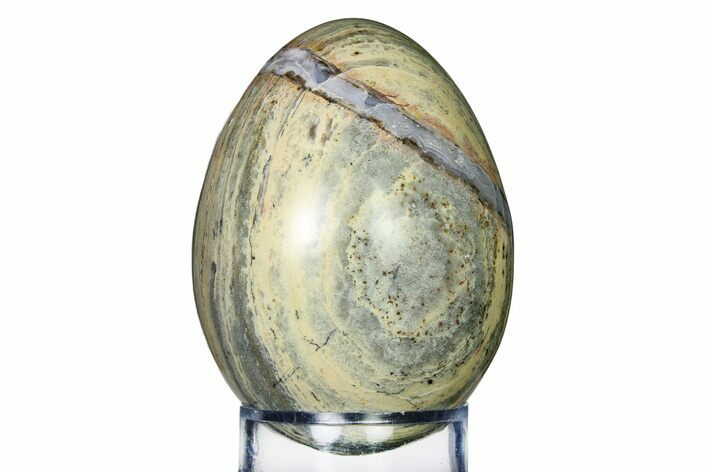 Polished Banded Silverfox Marble Egg - Arizona #322449